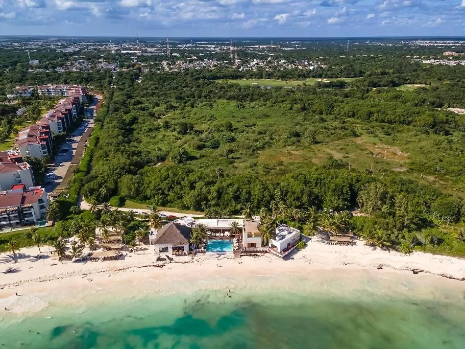 Ochoa 209 Luxury Condo Private Beach Club Playa del Carmen Apartment