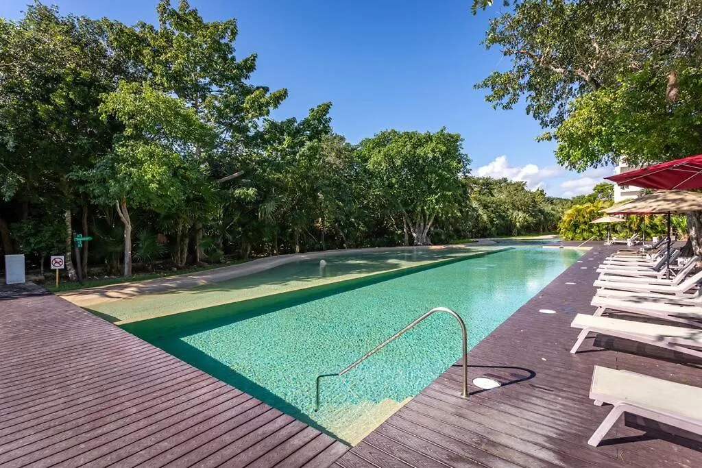 Ochoa 209 Luxury Condo Private Beach Club Playa del Carmen Apartment