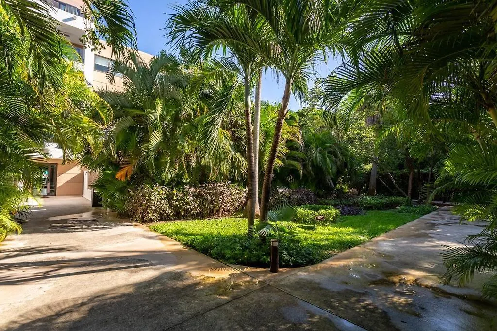 Ochoa 209 Luxury Condo Private Beach Club Playa del Carmen Apartment