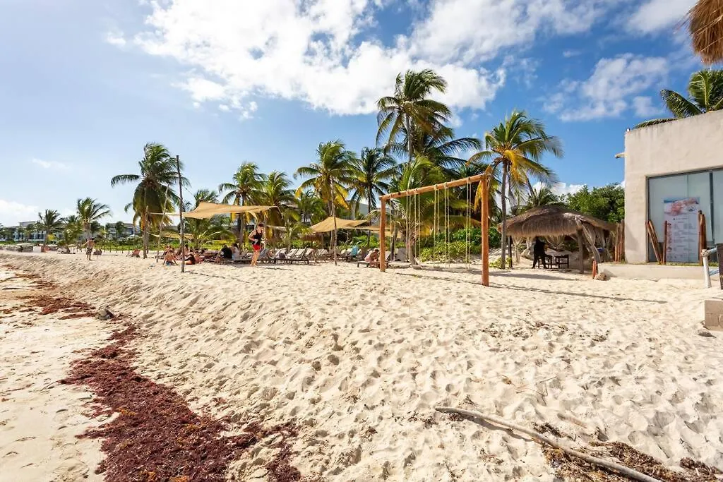 Ochoa 209 Luxury Condo Private Beach Club Playa del Carmen Apartment