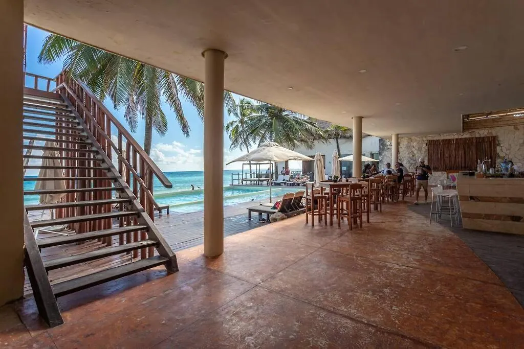 Apartment Ochoa 209 Luxury Condo Private Beach Club Playa del Carmen