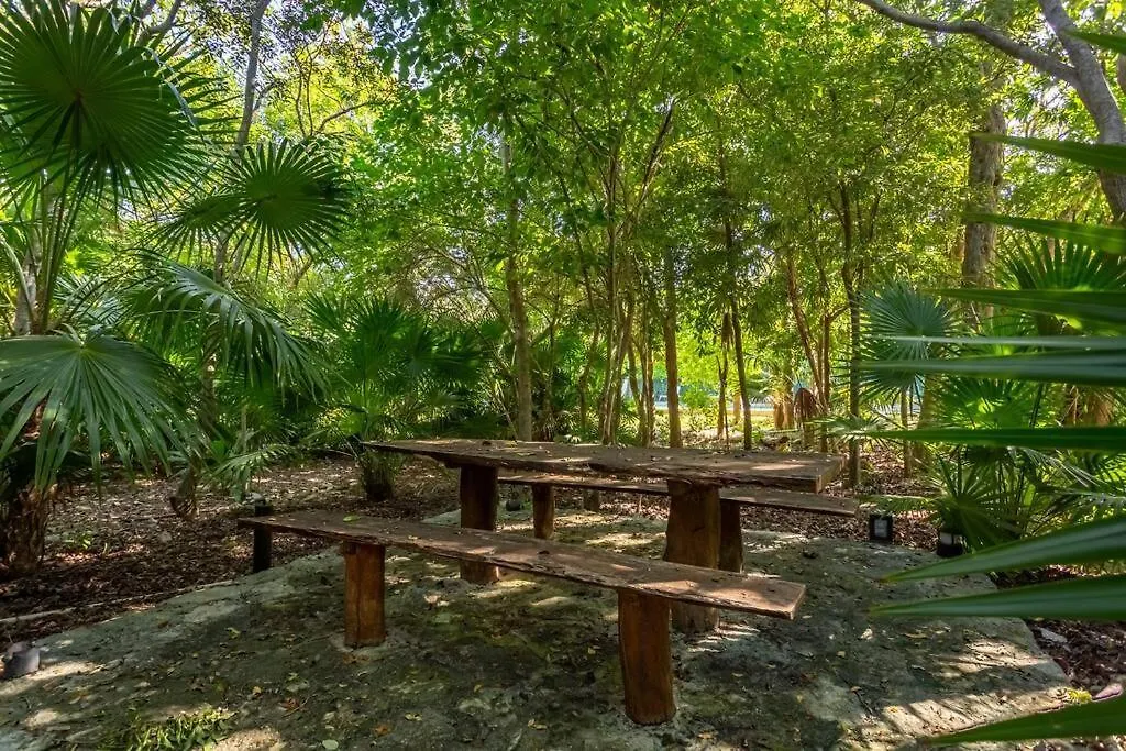 Ochoa 209 Luxury Condo Private Beach Club Playa del Carmen