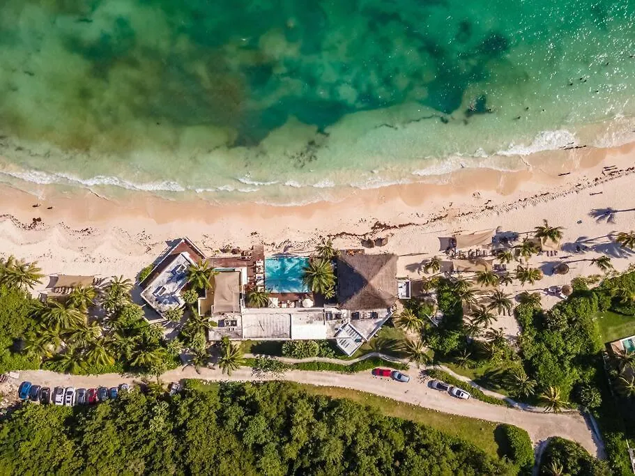 Apartment Ochoa 209 Luxury Condo Private Beach Club Playa del Carmen