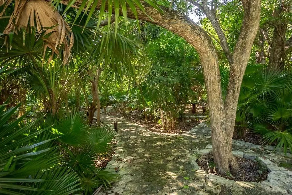 Ochoa 209 Luxury Condo Private Beach Club Playa del Carmen Mexico